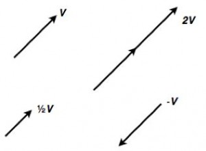 VECTORS