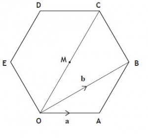 vector paths